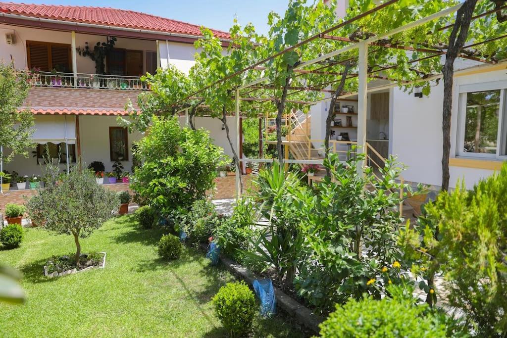 Cereni Guesthouse Berat Extérieur photo