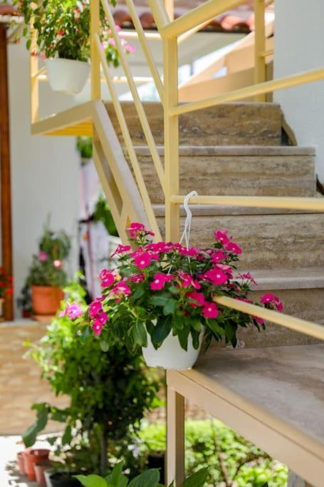 Cereni Guesthouse Berat Extérieur photo