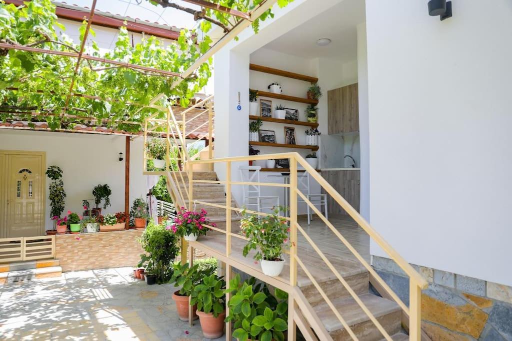 Cereni Guesthouse Berat Extérieur photo